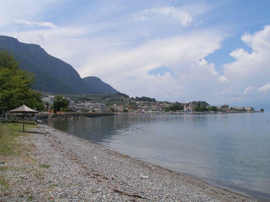 Anastasia - Efthimios Apartments Agios Konstantinos  외부 사진